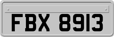 FBX8913