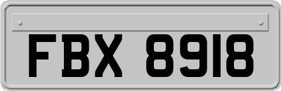 FBX8918