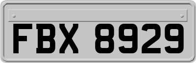 FBX8929