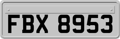 FBX8953