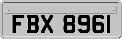 FBX8961