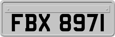 FBX8971