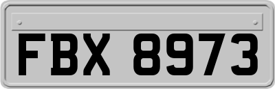 FBX8973