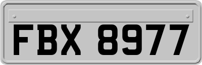 FBX8977