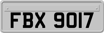 FBX9017
