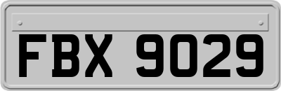 FBX9029