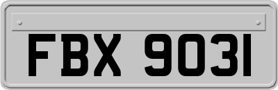 FBX9031