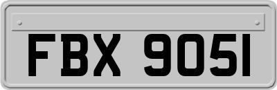 FBX9051