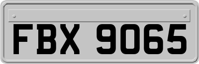 FBX9065