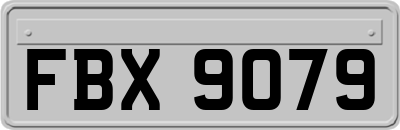 FBX9079