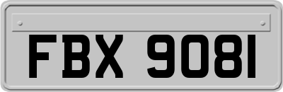 FBX9081
