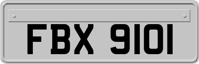 FBX9101