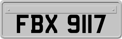 FBX9117