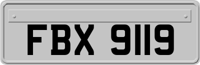 FBX9119