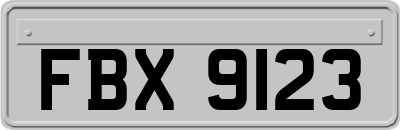 FBX9123