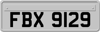 FBX9129
