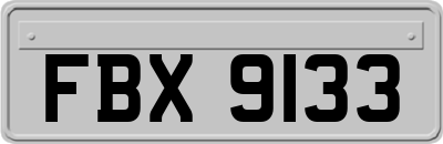 FBX9133
