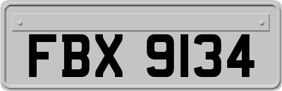 FBX9134