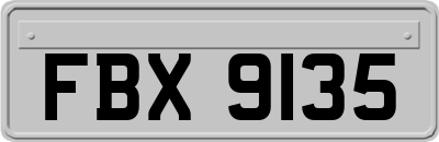 FBX9135