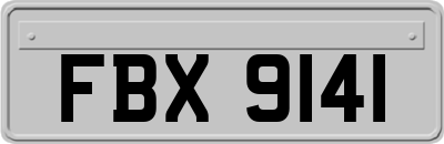FBX9141