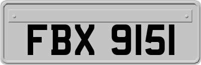 FBX9151