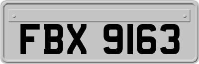 FBX9163