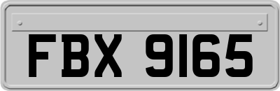 FBX9165