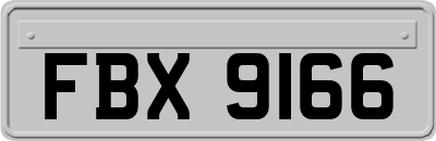 FBX9166