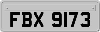 FBX9173