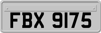 FBX9175