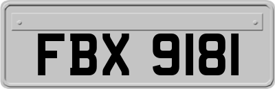FBX9181