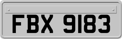 FBX9183