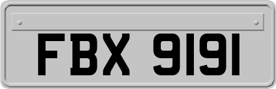 FBX9191
