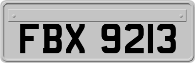FBX9213