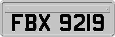 FBX9219