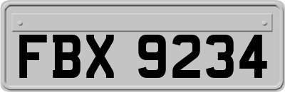 FBX9234