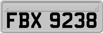 FBX9238