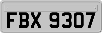 FBX9307