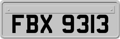 FBX9313