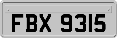 FBX9315