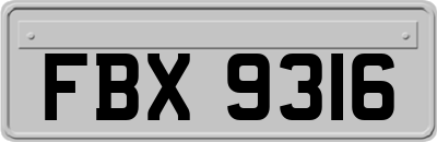 FBX9316