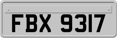 FBX9317