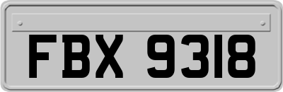 FBX9318