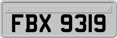 FBX9319