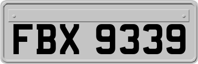 FBX9339