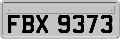 FBX9373