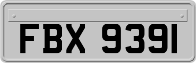 FBX9391