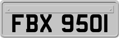 FBX9501