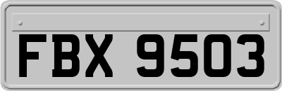 FBX9503