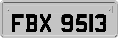 FBX9513